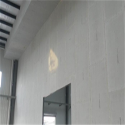 新龙新型建筑材料掺多种工业废渣的ALC|ACC|FPS模块板材轻质隔墙板